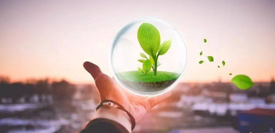 凱創(chuàng)感染類(lèi)疾病診斷的三大利器:CRP、SAA和PCT